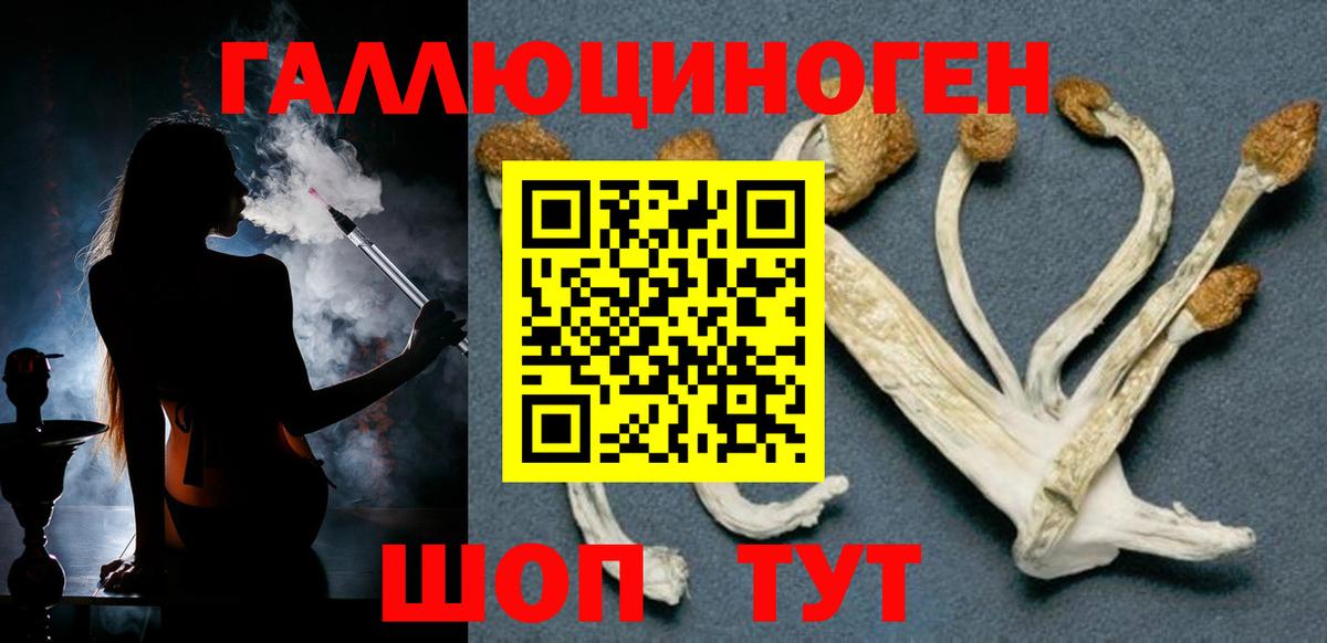 Реутов  Псилоцибиновые грибы Psilocybine cubensis  Вход с VPN 