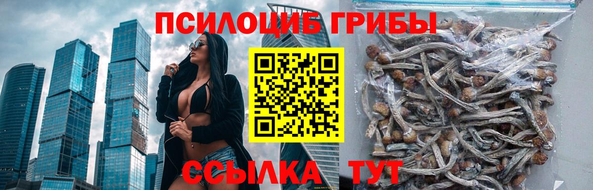 Псилоцибиновые грибы мухоморы Реутов